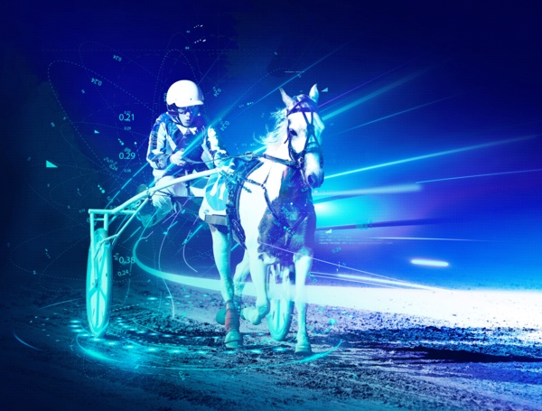 pony-trots-ready-for-long-awaited-return-with-training-and-race-days