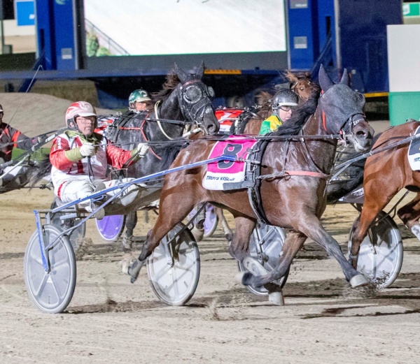 how-swede-it-is-as-maiden-breaks-through-at-melton