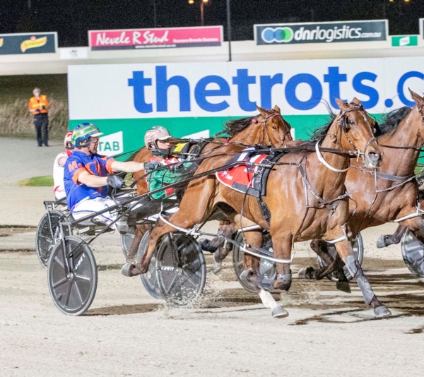 plenty-more-goodtime-ahead-as-mare-readies-to-up-the-heat