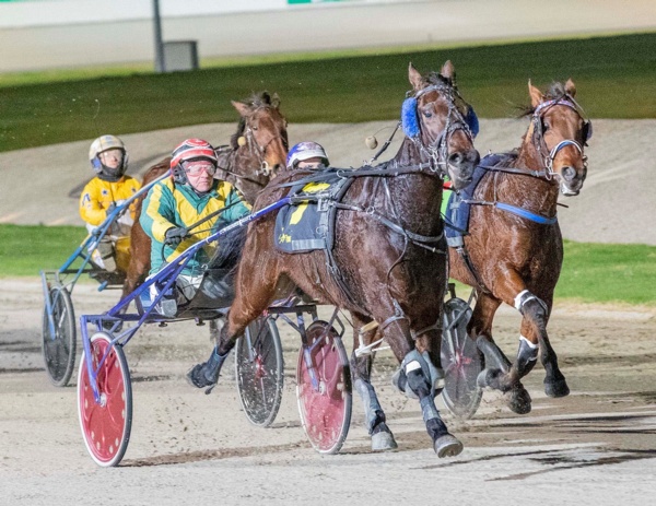 nephew-ready-to-finally-steal-the-spotlight-in-bendigo-cup