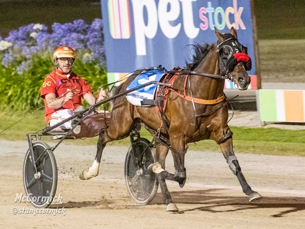 group-1-winner-sold-and-ready-to-start-racing-in-the-west
