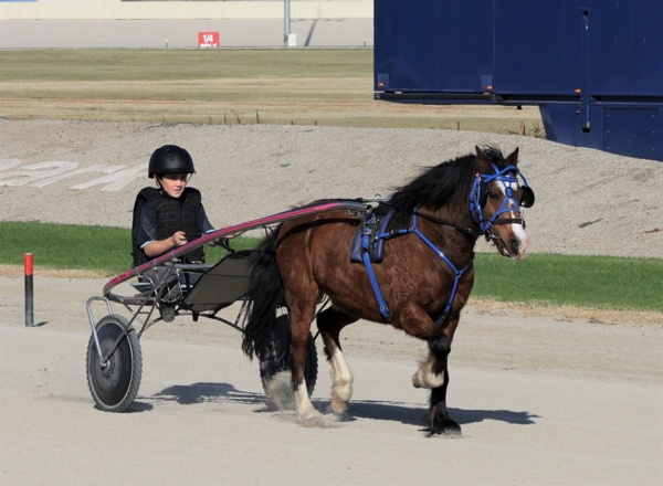 lenny-and-katie-ready-to-kick-off-as-pony-trots-victoria-makes-return