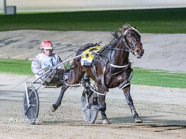 quality-mares-looking-to-turn-tables-on-stewart-stable