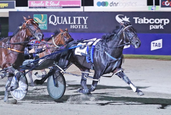 lazarus-and-stay-hungry-youngsters-take-centre-stage-in-north-america
