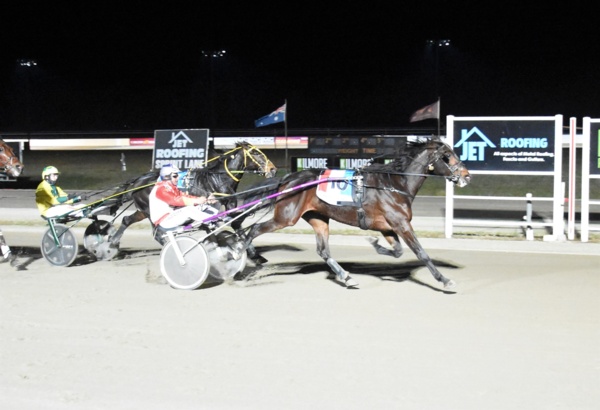 training-ploy-unlocks-secret-to-unbeaten-trotter-aldebaran-dino