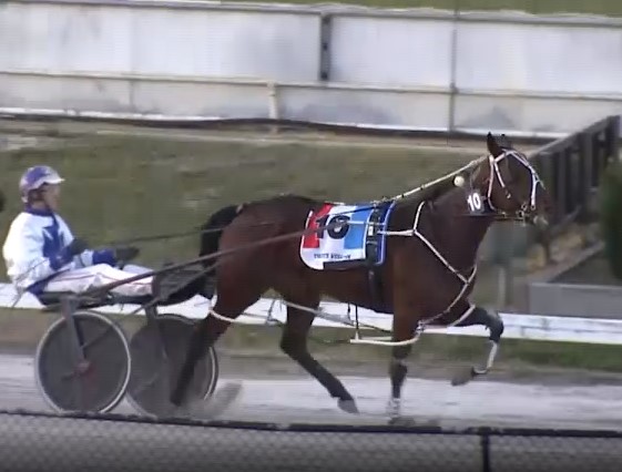 mare-gives-fidge-good-reason-to-chase-cranbourne-10000
