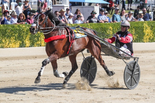 sundees-sons-rivals-breathe-sigh-of-relief-as-champ-takes-break