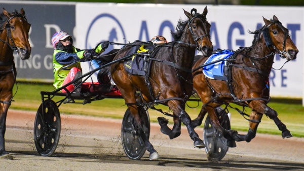 tilly-too-tough-on-magical-menangle-night-for-stewart