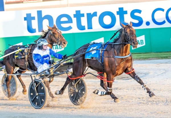nicholson-trio-to-kick-start-queensland-campaign-at-redcliffe