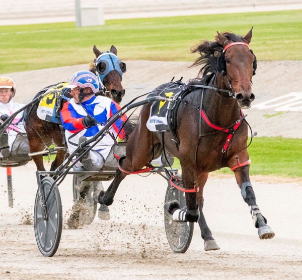 bon-chases-something-bettor-in-200-melton-game-plan