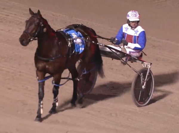 kiwi-gelding-smashes-echuca-track-record-in-perfect-aussie-debut