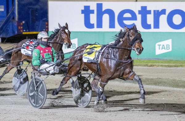 exciting-filly-thriving-back-home-after-interstate-venture