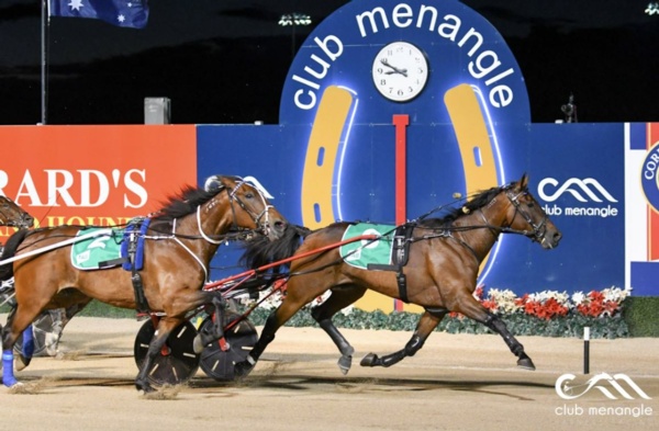 inter-dominion-champion-pleases-at-first-trial-back