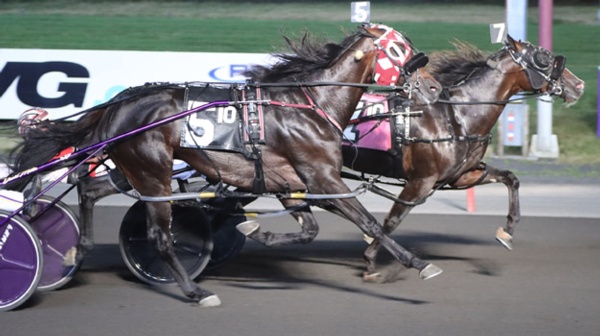 widespread-aussie-interest-in-600000-meadowlands-pace