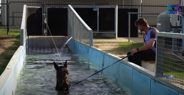 watch-a-decade-of-success-from-cranbournes-training-centre