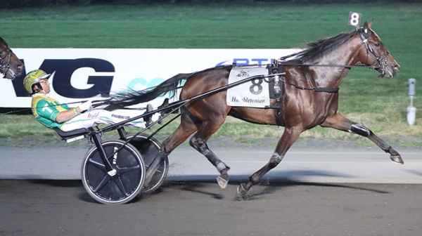 champion-fillies-set-for-hambo-heist-on-sunday-morning