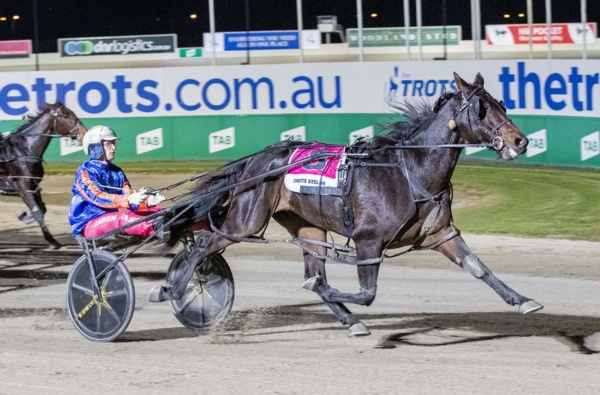 much-loved-sirletic-sold-to-race-on-for-new-connections