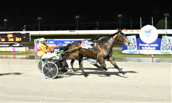 paul-on-a-high-as-euroking-prevails-for-new-stable
