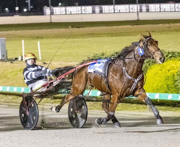 supreme-dominator-to-stay-and-race-on-in-victoria