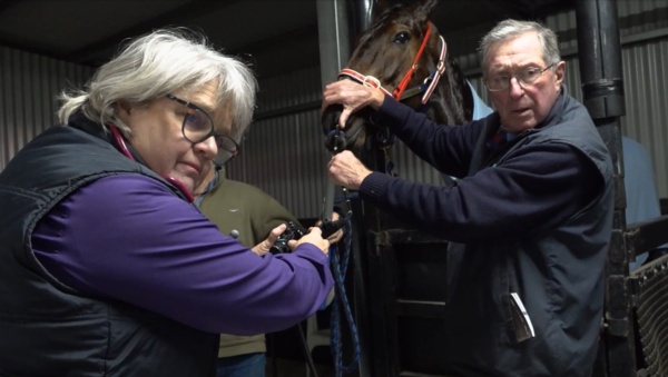 watch-go-behind-the-scenes-with-victorias-race-night-vets