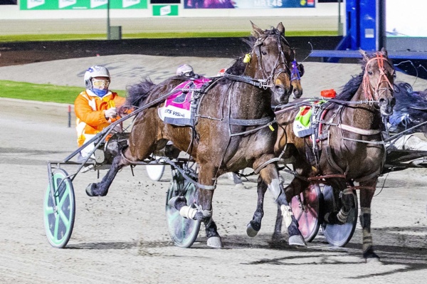 tyro-breeder-enjoys-another-winning-moment-at-melton