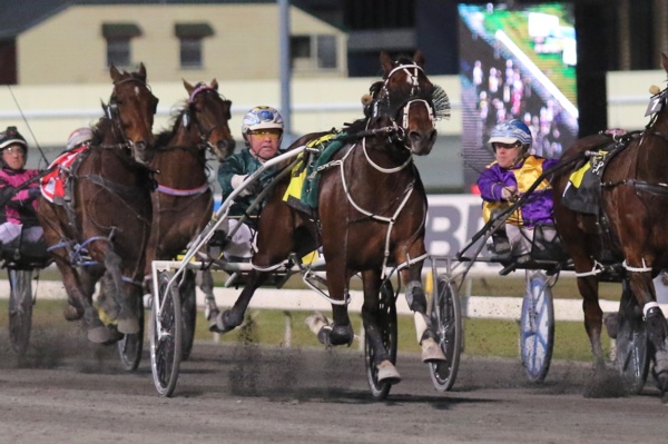 copy-that-sidelined-with-hairline-fracture-after-paddock-mishap