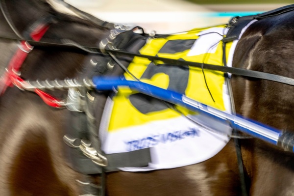 racing-at-stawell-on-sunday-after-transfer-from-ararat