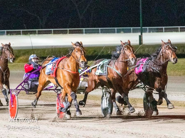trots-review-penny-keeps-on-trucking-to-deliver-ray-a-cup-thrill