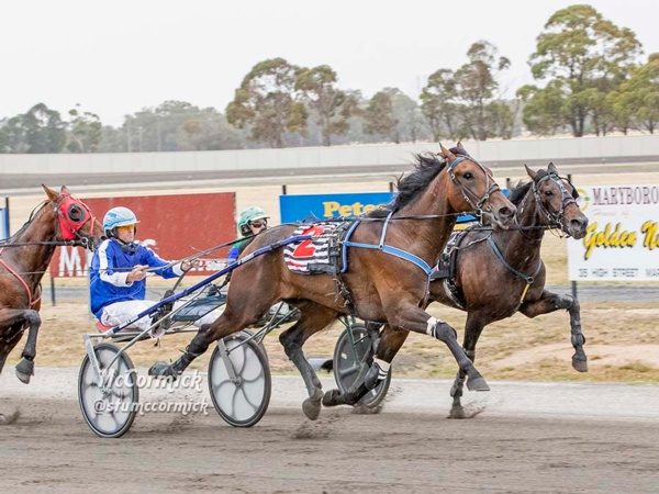 trotting-stars-return-as-saturday-night-lights-shine-again-at-melton