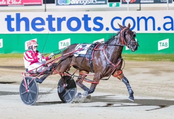 trots-centre-miss-bliss-for-connors-amazing-vicbred-debut