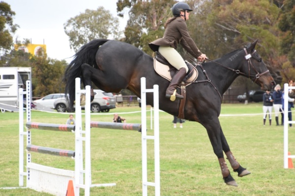 retrainer-lisa-north-brings-her-passion-for-horses-to-hrv-hero