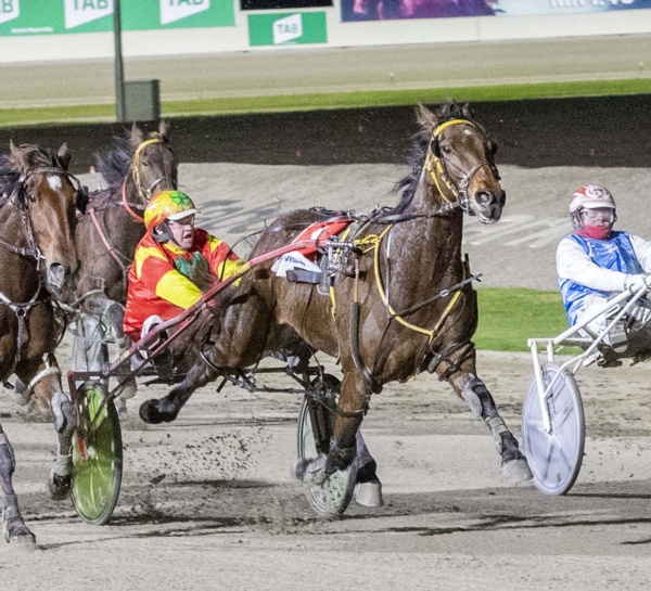 melton-winner-revives-thrilling-times-for-terang-breeders