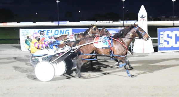 matthews-extols-the-value-of-vicbred-scheme
