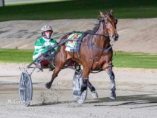 treachery-undergoes-surgery-set-for-2023-racetrack-return