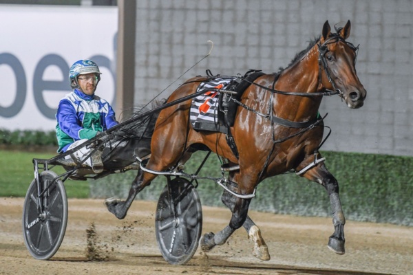 ego-the-3-vic-cup-favourite-as-punters-await-barrier-draw