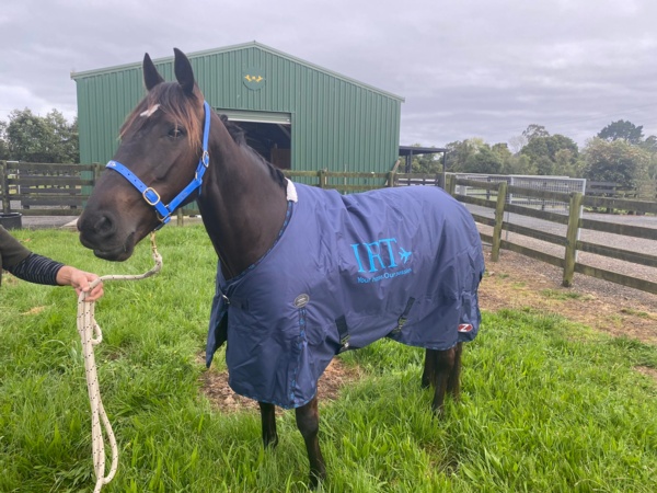 hes-arrived-rock-n-roll-doo-lands-in-new-zealand-for-cup-tilt