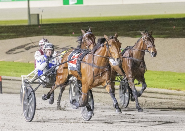 mighty-mare-takes-queen-of-the-pacific-miracle-mile-looms