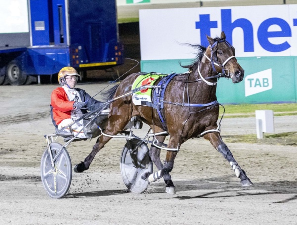 noels-much-loved-saint-to-chase-special-swan-hill-success