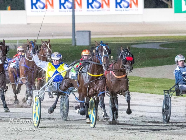 bondi-buries-bonanza-rivals-to-score-chariots-ticket
