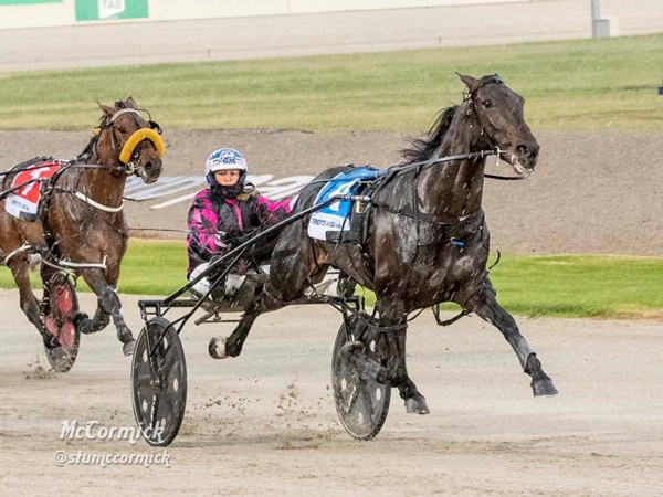 five-runners-for-stewart-in-maryborough-gold-cup
