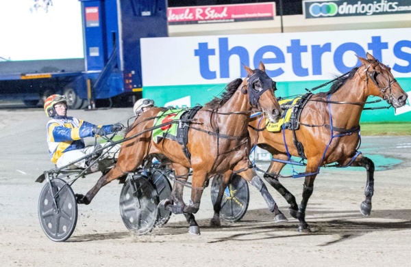 ace-draw-brings-dannys-geelong-cup-dream-closer-to-fruition