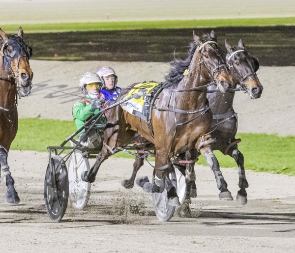 geelong-and-champs-in-frame-for-tubbs-sugars-stable-stars