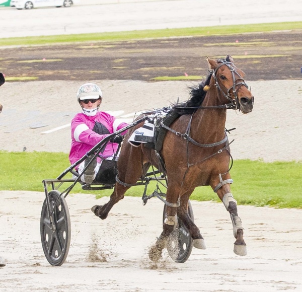 campbell-in-the-cash-as-cheddar-builds-on-vicbred-delight