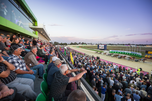 draws-released-for-night-one-of-the-id22-pacing-champs