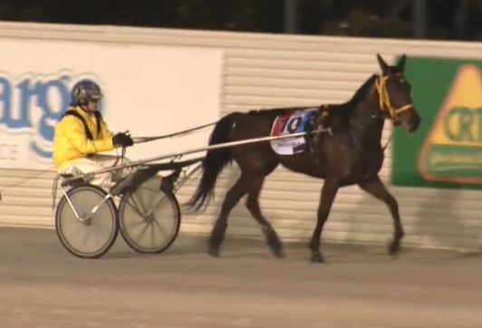 constant-challenge-has-proud-pat-ready-for-big-breeders-crown