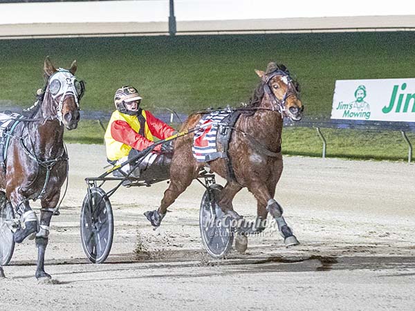patience-pays-as-barrys-boy-back-on-track-for-st-arnaud-cup