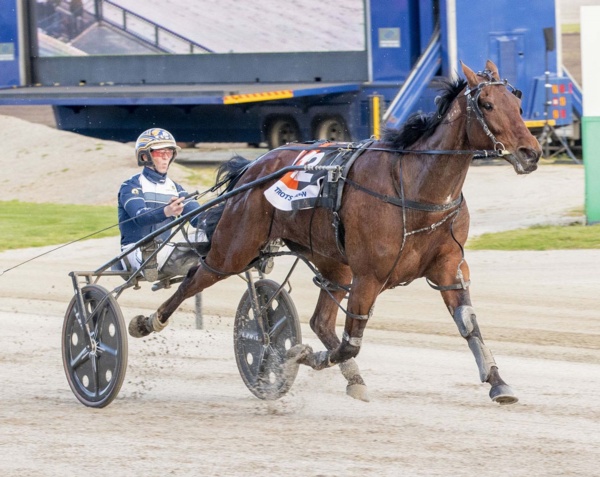 stewarts-ideal-cup-run-tipped-to-go-on-at-valley-after-torrid-draw