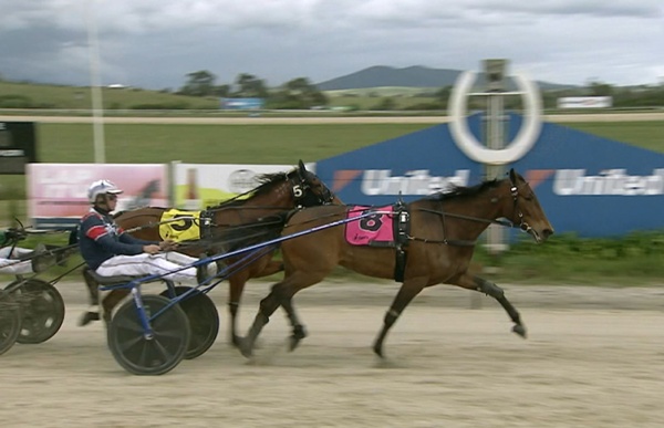 shes-a-beauty-antons-mare-upstages-the-boys-at-yarra-valley