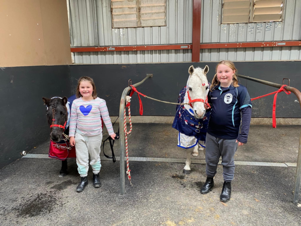 nine-pony-trotters-ready-to-chase-their-inter-dominion-dreams