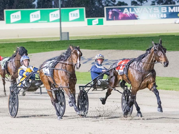 breeders-crown-2yo-pacing-fillies-delight-as-filly-makes-it-nine